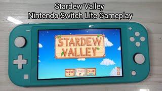Stardew Valley Nintendo Switch Lite Gameplay 2023
