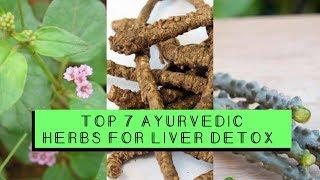 Top 7 Ayurvedic Herbs For Liver Detox and Repair