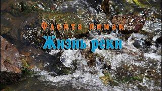 Музыка флейта. Слушать 18 минут