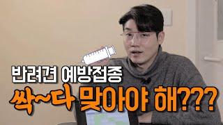 반려견 필수예방접종 총정리! 꼭 알아야 겠쥬?!
