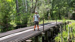 Devils Creek Rail Bridge in The Green Swamp Wilderness Preserve