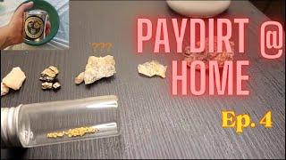 GOLD panning @ HOME - Ep. 4 Paydirt Review PANINACAN - Gold and crystals for the collection!