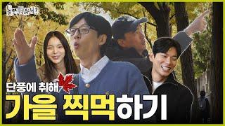 [ENG SUB] 동갑내기 가을 찍먹하기 (feat. 서울 박사 김석훈) | #놀면뭐하니? #유재석 #김석훈 #MBC241116방송