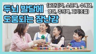 36개월 이상 두뇌 발달에 도움되는 장난감 | 놀이팁