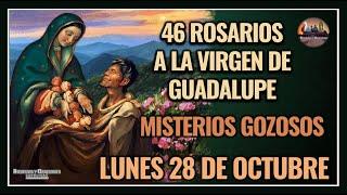 46 ROSARIOS A LA VIRGEN DE GUADALUPE: MISTERIOS GOZOSOS - GUADALUPANO / LUNES 28 DE OCTUBRE DE 2023.