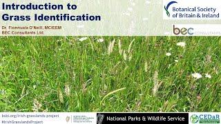 Introduction to Grass Identification