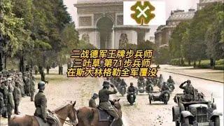 二战德军步兵师也有王牌部队，在斯大林格勒战役中几乎全军覆没#二战 #二战历史 #同盟军 #历史 #德军