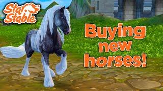 Buying the New Tinker Horse & Fawncy || Star Stable Online