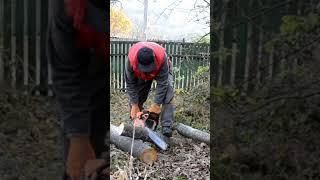 Старая китаеза все еще в строю и не плохо заводится  #chainsaw #stihl