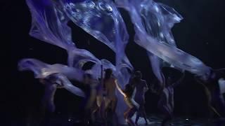 2014 World of WearableArt Awards Show Highlights