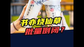 90天关店1600家！书亦烧仙草，让人眼前一黑又一黑