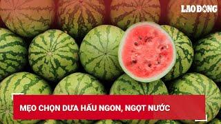 Mẹo chọn dưa hấu ngon, ngọt nước | Báo Lao Động