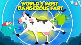 World's Most Dangerous Farts | Animals With Toxic Farts | The Dr. Binocs Show | Peekaboo Kidz