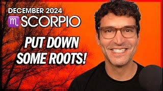 Scorpio December 2024: Time to Put Down Some Roots!