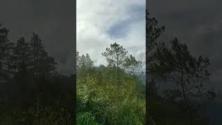INDAHNYA ACEH TENGAH DI 1800(MDPL)                        #wisata #takengon #aceh #indonesia #travel