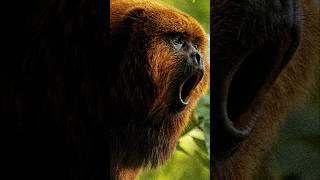 Top 10 Loudest Animals In The World    #shorts #youtubeshorts #top10 #worldtop10 #top