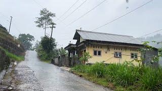 Rain in August in an Indonesian mountain village||very relaxing and refreshing