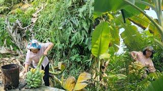 Single mother: Harvesting bananas and chili to sell