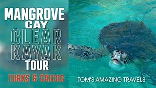 Mangrove Clear Kayak Tour - Turks & Caicos - See turtles, rays, small sharks, fish, coral and more.