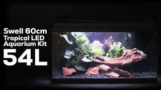 EASY Fish Tank Set-Up: Swell 60cm Tropical LED Aquarium Kit 25L - Beginners Guide