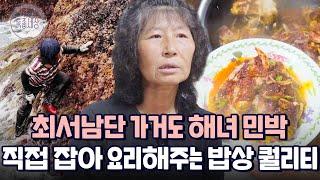 "배 타고 더 들어가야 된다고요?" 최서남단 가거도의 억척 해녀, 민박집 요리 퀄리티가 셰프 급｜다시보는 특종세상 486회