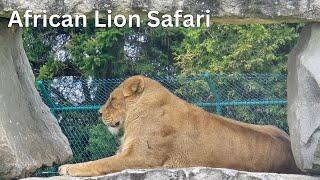 AFRICAN LION SAFARI TOUR | Exploring the wildlife in Hamilton, Canada | 2024