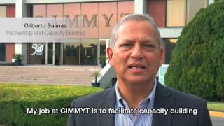 CIMMYT celebrates 50 years of turning research into impact 3/4