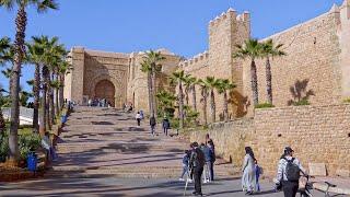 Kasbah of the Udayas (Oudayas) - Old Medina - Bab Oudaia - Andalusian Gardens - Rabat - Morocco