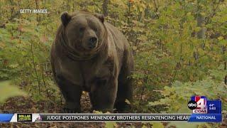 Utah could see a grizzly bear in the future, here's what experts say