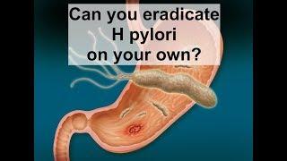 Can you eradicate H pylori on your own?