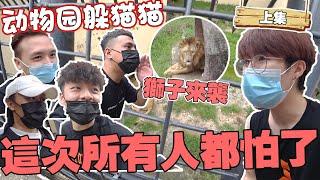 动物园躲猫猫！！一群不怕屎的Youtuber！！竟然在动物院里和狮子XX！？【躲猫猫系列】