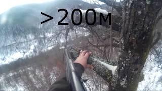 Wild Boar Long Range Shoot - Browing Longtrack 30 06