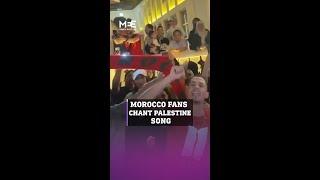 World Cup: Morocco fans sing for Palestine