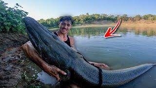 The biggest fish you have ever seen... INSANE