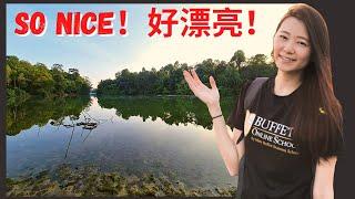 Singapore Amazon Rainforest｜Chestnut Nature Park｜Taiwanese in Singapore｜Angel Hsu 安琪兒