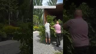 Садовый центр в Ростове ждёт вас #ростовнадону #озеленениеростов #питомникрастений #садоводство
