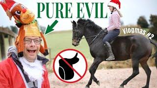 Rich Is A BAD Santa! Bareback Dressage