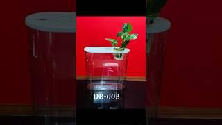 small aquariums#sithara entertainments #shorts