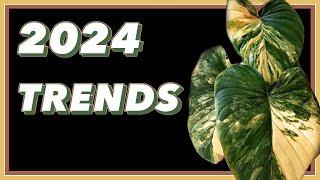 Hottest Plant Trends for 2024 ft @onlyplants