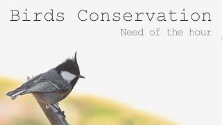 Birds Conservation | Need of the hour | Diversity Around Us | Nature Conservation | Birds of India