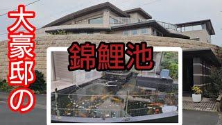 【大豪邸の錦鯉池】究極の自宅池を大公開！　#錦鯉  #アクアリウム　#koipond　#豪邸