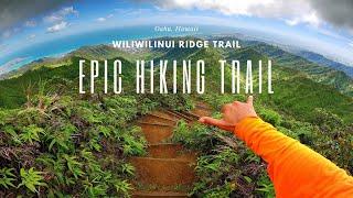 Epic Hiking Trail in Oahu, Hawaii│Wiliwilinui Ridge [FULL GUIDE] Best Trail