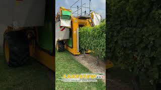 John Deere 6420 and Gregoire G3.220 Harvesting Sauvignon Blanc Grapes