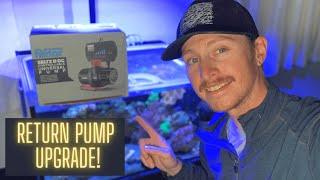 Lagoon Return Pump Upgrade! The Hydor Seltz D DC Control Pump