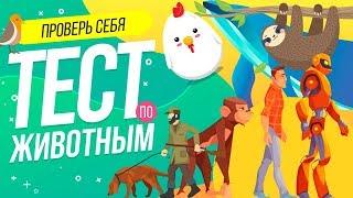 ТЕСТ ПО ЖИВОТНОМУ МИРУ! ТОЛЬКО ДЛЯ ИСТИнНЫХ ЗООЛОГОВ | WILD MIND |  ВИКТОРИНА | Бабочка УБИЙЦА