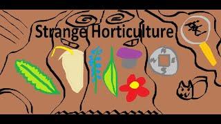 Strange Horticulture, finishing up the investigation