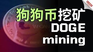 【挖矿教程】DOGE狗狗币挖矿教程，支持CPU、GPU最新挖矿教程，HOW TO MINE DOGECOIN 2024，WIN系统就能挖，马斯克最爱的狗狗币