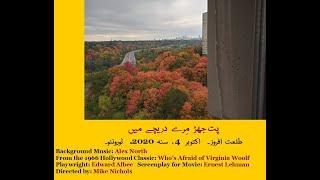 Pat Jharr Mairay Dareechay Say . . . Toronto, Autumn 2020