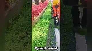 Dụng cụ nông nghiệp #amazing