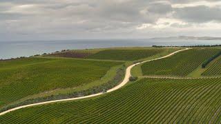 Drone video of Marlborough | Marlborough Region | New Zealand | 4K